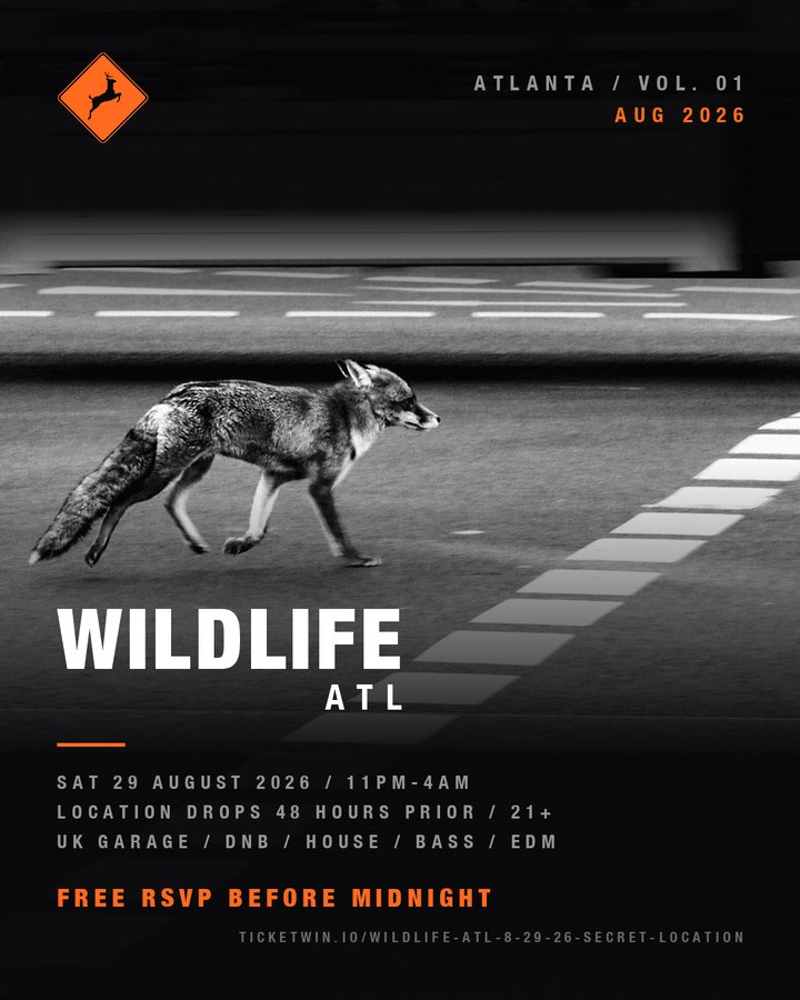 Fox crossing a road as a truck passes