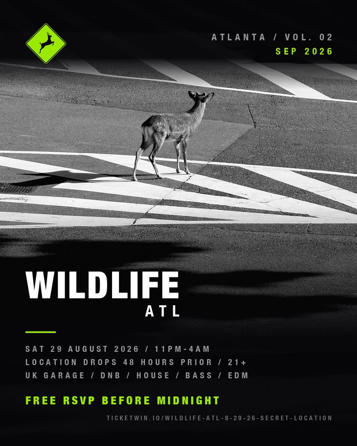 Deer standing on a city crosswalk