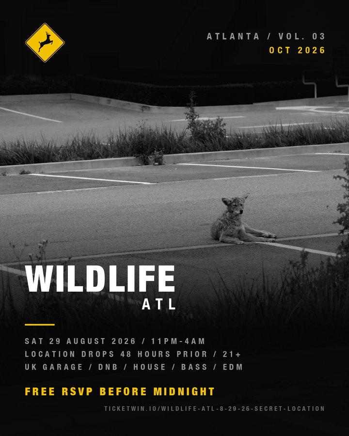 Coyote lying in an empty parking lot at night